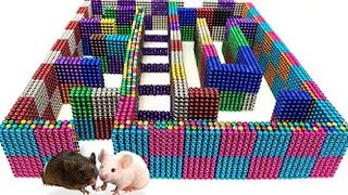DIY - Build Amazing Maze Labyrinth For Hamster Pet With Magnetic Balls (Satisfying)