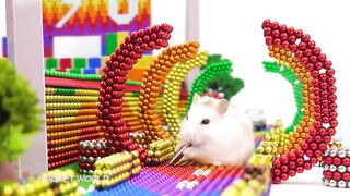 Satisfying And Relaxing With Manget Balls | How To Make Racing Stadium For Pets ASMR