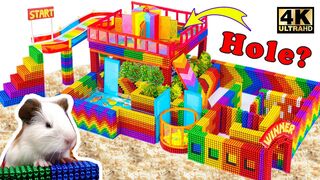 Best Oddly Satisfying Video With Magnet Balls | Make Tropical Maze Has Rainbow Slide For Hamster