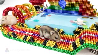 Build Shark Playground, Swimming Pools Has Water Slide For Turtle And Hamster From Magnetic Balls
