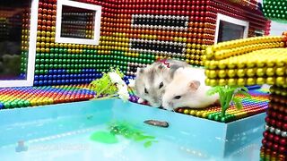 Build Container Truck House On Water, Water Slide, Turtle Tank From Magnetic Balls Satisfying ASMR