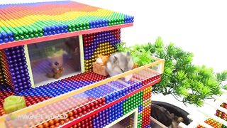 ASMR - Build Mega Villa House Has Watter Wheel and Swimming Pools for Hamster With Magnetic Balls