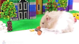 ASMR - Build Medieval Town Hall Minecraft for Hamster with Magnetic Balls Satisfying