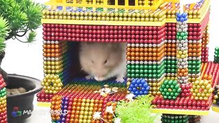 ASMR - Build Cat Rescue And Feeding Cat Building Amazing Castle with  Magnetic Balls (Satisfying)