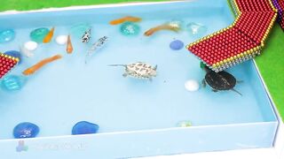 DIY - Build Water Slide Park Into Swimming Pool From Magnetic Balls (Satisfying ASMR) | MW Series