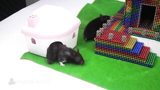 DIY - How To Make Beautiful House For Hamster From (ASMR Satisfying) | Magnet World Series #217