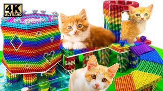 DIY - How To Build Mini Playground For Kitten Cat From Magnetic Balls (Satisfying) | Relaxing Video