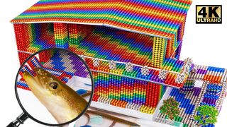 DIY - Build Two Story House with Eel Pond From Magnetic Balls (Satisfying) | Magnet World Series