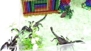Build Scorpion Ancient Temple with Sand Box From Magnetic Balls (Satisfying) | Magnet World