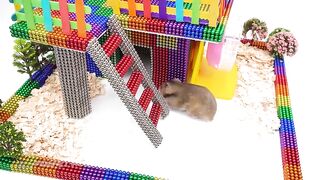 DIY - How To Build Beautiful Hamster House From Magnetic Balls ( Satisfying ) | Magnet World 4K
