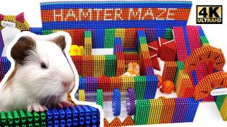 How to Build Creative Labyrinth for Hamster With Magnetic Balls ( Satisfying ) | Magnet World 4K