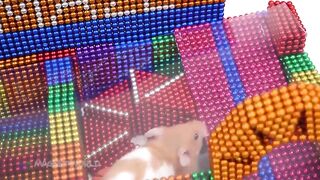 How to Build Creative Labyrinth for Hamster With Magnetic Balls ( Satisfying ) | Magnet World 4K