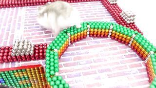 DIY - Build Most Beautiful Two Castles Connected By Rainbow Bridge From Magnetic Balls (Satisfying)