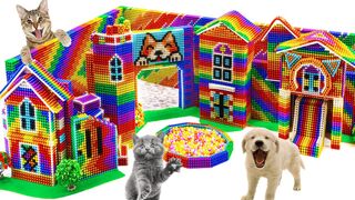 Dogs and Cats Live Together - DIY Playground House For Puppy and Cats From Magnetic Balls Satisfying