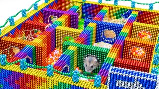 Build Amazing Maze Labyrinth For Hamster Pets From Magnetic Balls ( Satisfying )| Magnet Satisfying