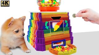 DIY - How To Make Gumball Machine Money Operated For Puppy From Magnetic Balls ( Satisfying )