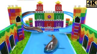 How To Build Temple, Swimming Pool, Water Slide For Tilapia Eel From Magnetic Balls (Satisfying)
