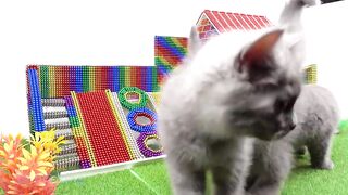 DIY - How To Build Beautiful Playground with Slide For Cats From Magnetic Balls ( Satisfying )