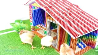 DIY - Build House, Playground For Chicken From Magnetic Balls ( Satisfying ) | Magnet Satisfying