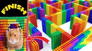 DIY - How To build Giant Maze For Hamster From Magnetic Balls ( Satisfying ) | Magnet Satisfying