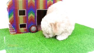DIY - How To Make Camping Car For Puppy From Magnetic Balls ( Satisfying) | Magnet Satisfying