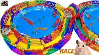DIY - How To Build Race Track Maze Around Fish Pond For Hamster From Magnetic Balls (Satisfying)