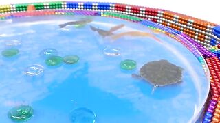 DIY - How To Build Race Track Maze Around Fish Pond For Hamster From Magnetic Balls (Satisfying)