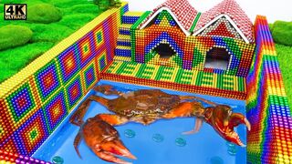 Build Underground House, Swimming Pool For Crab From Magnetic Balls ( Satisfying ) | Magnet ASMR