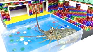 Build Modern Mansion Swimming Pool For Lobster With Magnetic Balls (Satisfying) | Magnet Satisfying
