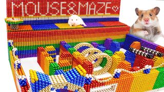 DIY - How To Build Amazing Maze Labyrinth For Pet Hamster from Magnetic Balls | Manget Satisfying
