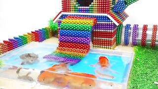 DIY - How To Build Hamster House Has Tube Tunnel And Turtle Tank From Magnetic Balls (Satisfying)