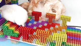 DIY - How To Build Amazing Waterwheel House Fish Pond For Hamster With Magnetic Balls (Satisfying)