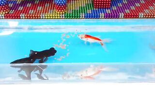 DIY - Build Mega Waterwheel Villa House Has Fish Pool For Hamster With Magnetic Balls (Satisfying)