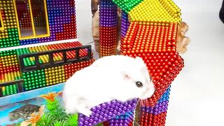 DIY - Build Mega Mansion Has Swimming Pool And Slide For Hamster With Magnetic Balls (Satisfying)