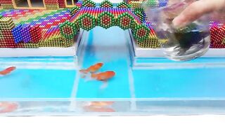 DIY - Build Amazing Aquarium Villa House For Lovely Hamster With Magnetic Balls (Satisfying)