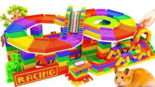 DIY - How To Build Amazing Infinity Race Track For Hamster With Magnetic Balls (Satisfying)
