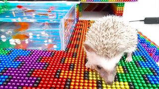DIY - Build Super Mega Mansion Has Pool For Goldfish And Hedgehog With Magnetic Balls (Satisfying)