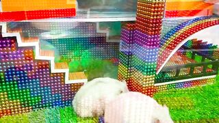 DIY - Build Mega Villa House Has Garden, Pool For Hamster Goldfish With Magnetic Balls (Satisfying)