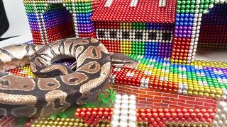 DIY - Build Mega Mansion Swimming Pool For Hamster And Python Snake With Magnetic Balls (Satisfying)