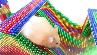 DIY - Build Amazing Park Playground For Cute Hamster From Magnetic Balls (Satisfying) - Magnet Balls