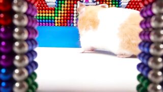 DIY - Build Beautiful Chinese Mansion For Hamsters With Magnetic Balls (Satisfying) - Magnet Balls