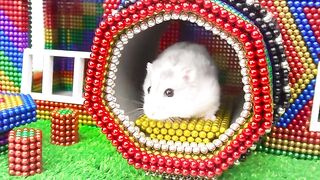 DIY - Build Amazing Camera House For Hamster Pet With Magnetic Balls (Satisfying) - Magnet Balls