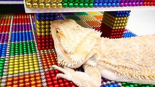 DIY - Build Modern Mansion Swimming Pool For Lizard With Magnetic Balls (Satisfying) - Magnet Balls