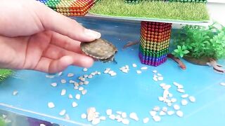 Build Villa House Swimming Pool Fish Tank For Turtle From Magnetic Balls (Satisfying) - Magnet Balls