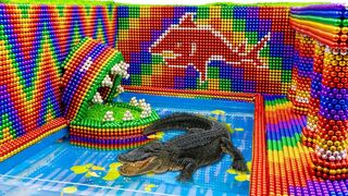 Build Swimming Pool For Crocodile And Hamster Secret House With Magnetic Balls (Satisfying)