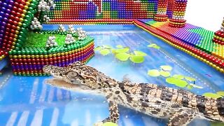 Build Swimming Pool For Crocodile And Hamster Secret House With Magnetic Balls (Satisfying)
