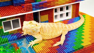 DIY - Build Villa House Swimming Pool For Lizard With Magnetic Balls (Satisfying) - Magnet Balls.