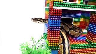 DIY - Build Amazing Mansion For Python And Snake With Magnetic Balls (Satisfying) - Magnet Balls