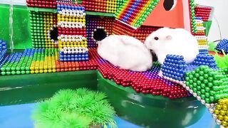 DIY - Build Fish Pond Around Puppy House Hamster With Magnetic Balls (Satisfying) - Magnet Balls