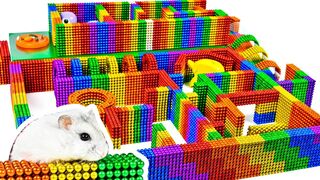 Most Creative - Build Amazing Hamster Maze Labyrinth With Magnetic Balls (Satisfying) - Magnet Balls